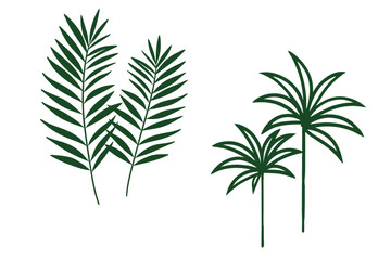 Double Green Leaf Botanical Illustration, Minimalist Nature Art Vector