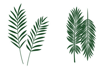 Naklejka premium Double Green Leaf Botanical Illustration, Minimalist Nature Art Vector