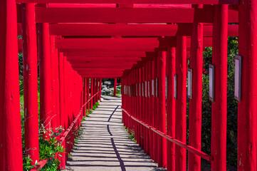 山口県の元乃隅神社(もとのすみじんじゃ)、赤色の鳥居が神秘的で美しい