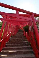 山口県の元乃隅神社(もとのすみじんじゃ)、赤色の鳥居が神秘的で美しい