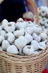 garlic, excellent quality