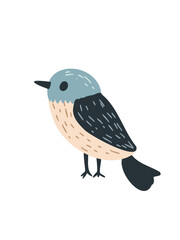 art charming animated bird graphic