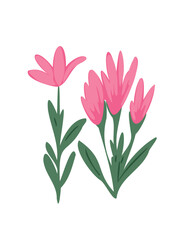 Fototapeta premium beautiful tender pink flower illustration