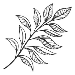 Elegant hand drawn black and white leafy branch illustration