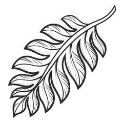 Obraz premium Stylized black and white tropical leaf illustration