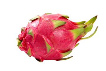 A vibrant and fresh dragon fruit with bright pink skin