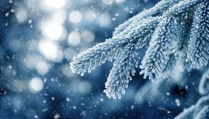 Winter's Embrace: A close-up showcases snow-covered evergreen branch under a serene, snowy scene, bringing a sense of calm and the season's quiet beauty.