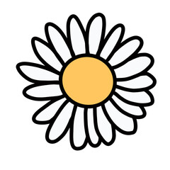 Daisy White and Yellow Flower Floral Natural hand drawn Color flora beautiful
