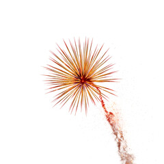 Golden Pyrotechnic Burst with Smoke Trail on White