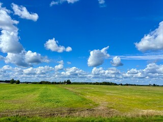 green field and blue sky
