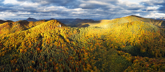 Forest and rocks mountain with sun at beautifull sunset