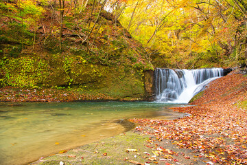 福島県西白河郡西郷村　一休みの滝と秋の紅葉に染まる木々 © TNK