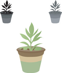 Healthy Green Plant in Pot With Multiple Pots on White Background