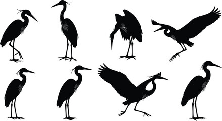 Elegant heron and crane bird silhouettes collection, standing and flying poses, wildlife illustration set, black vector artwork for nature design