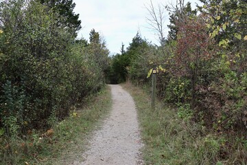 Obraz premium The hiking trail in the woods on a fall day.