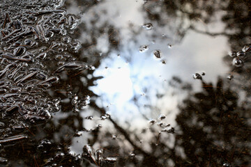reflet dans une flaque d'eau