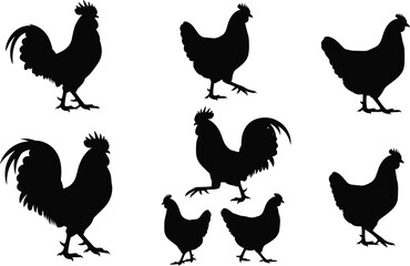 Collection of rooster and hen silhouettes in various standing and walking poses for farm animal vector illustration