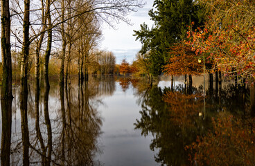 autumn trees reflected in water