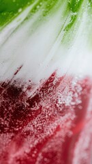 Vibrant Abstract Macro Shot of Red and Green Elements with White Bubbles and Froth Creating a Dynamic Textured Surface