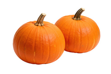 Obraz premium Two orange pumpkins with visible stems in a close-up view