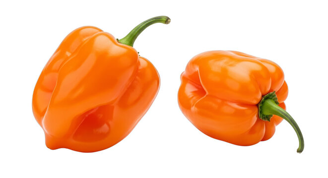 Two orange habanero peppers isolated on a transparent background green stems vegetables