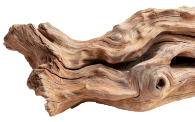 Gnarled tree root section shows rugged texture. It is cut out with a transparent background. The focus is on the natural wood details and unique patterns
