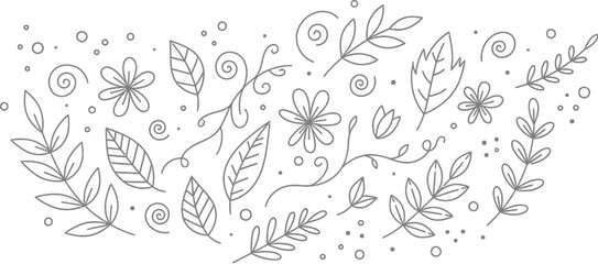 Detailed Hand- Drawn Sketch of Abstract Organic Shapes and Swirling Lines in Monochrome hand-drawn