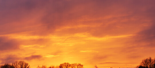 Vivid golden sunset sky glowing above peaceful winter tree silhouettes