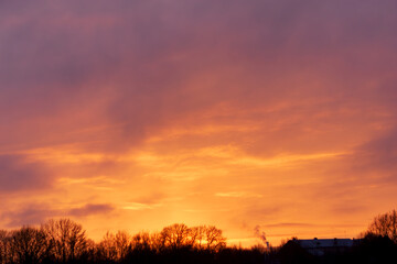 Dramatic golden sunset sky above winter trees and distant buildings