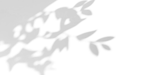 shadow overlay effects of realistic tree leaves shadow on wall,Summer sunlight and dappled shadow overlay effect,branch and foliage shadow