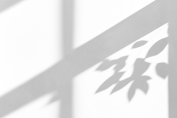 shadow overlay effects of realistic tree leaves shadow on wall,Summer sunlight and dappled shadow overlay effect,branch and foliage shadow