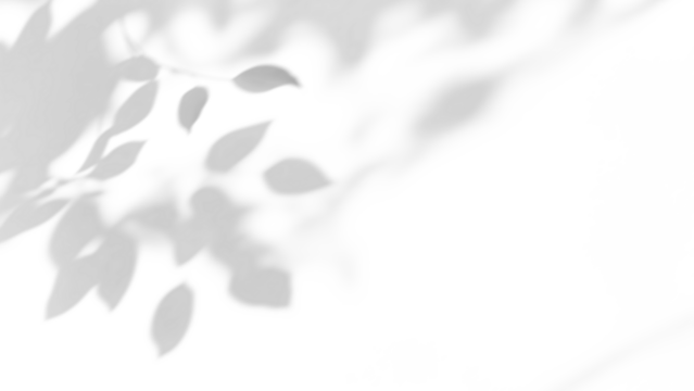 shadow overlay effects of realistic tree leaves shadow on wall,Summer sunlight and dappled shadow overlay effect,branch and foliage shadow - Powered by Adobe