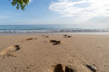 Low-angle shot captures multiple deep footprints in warm golden beach sand leading toward the gentle waves and the clear blue ocean horizon under a bright sky.

