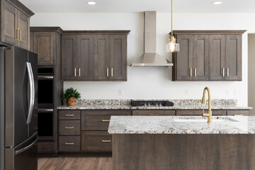 A kitchen detail with a gold faucet on a granite countertop, dark wood cabinets, stainless steel...