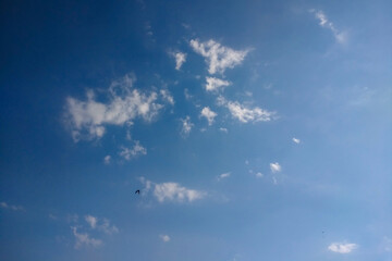 Clear Blue Sky With Sparse White Clouds Over Calm Day For Nature And Travel Imagery