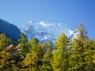 Snow capped mountains with colorful autumn leaves and Chonggu monastery