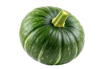 Fresh green pumpkin with smooth surface and distinct stripes