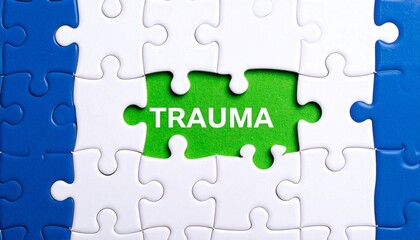 Understanding and Healing Trauma: The Complex Puzzle of Mental Health, Recovery Strategy, and Psychological Therapy Solutions