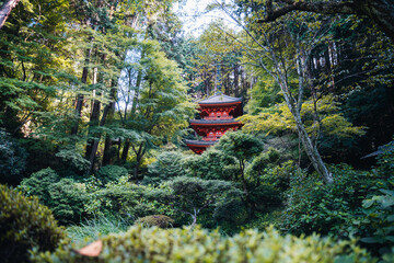 Japanese pagoda nestled in a lush green forest, a serene and spiritual landscape