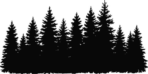 Wide panoramic black silhouette of coniferous forest with pine, spruce and fir trees isolated on white background, nature landscape vector illustration © Zakia