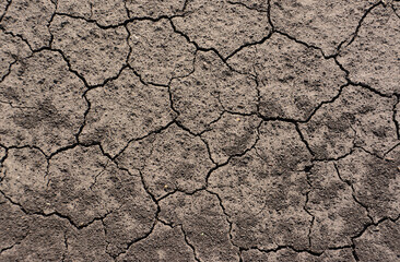 Dry and Cracked Soil Texture covered with dust