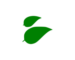 green leaf isolated on white