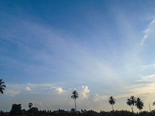 Summer blue sky wallpaper. A serene landscape featuring a wide expanse of blue sky dotted with delicate clouds, with a line of palm trees silhouetted against the horizon during golden hour
