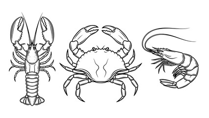 Obraz premium Line art illustration of three crustaceans (lobster, crab, and shrimp) in a row
