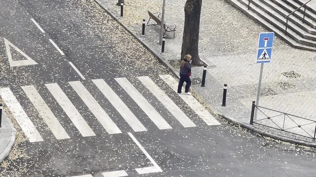 Mujer cruzando paso de peatones en la calle con rayas de cebra usando tel&eacute;fono m&oacute;vil