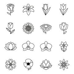 Collection of Silhouetted Flower Icons for Design and Decoration