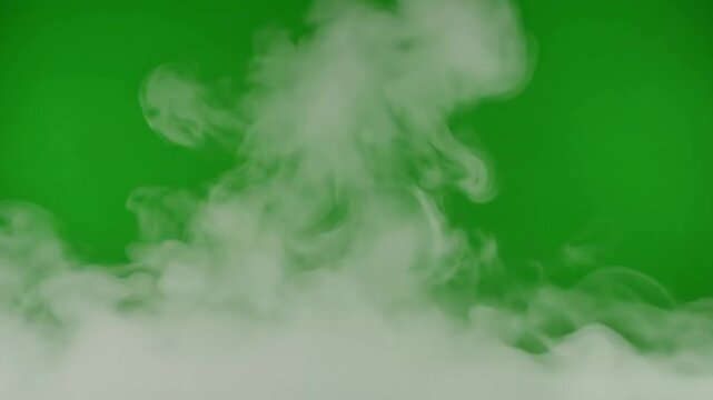 Gentle morning mist veils towering tree trunks with mist rising gently on pure effect green screen fog layers style featuring mist,