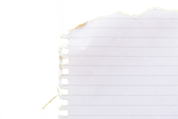 Ripped white paper with a lined texture on a transparent background. PNG photo. White background