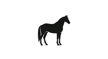 Fototapeta premium Elegant Horse Silhouette - A Majestic Equine Figure in Minimalist Design.