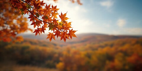 Colorful autumn foliage with orange, yellow, and green leaves against a bright sky, seasonal transition